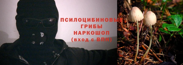 PSILOCYBIN Володарск