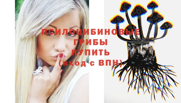 стафф Верея