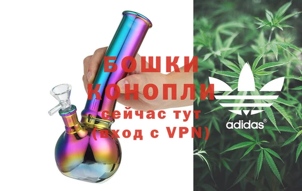 PSILOCYBIN Верхний Тагил