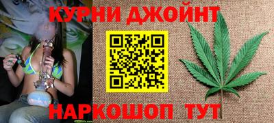 ешки Гай