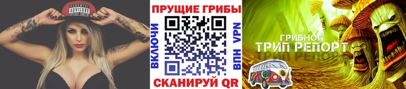 цены Рузаевка Галлюциногенные грибы прущие грибы