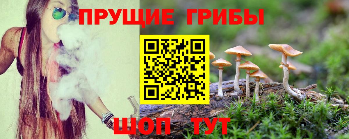 цены наркотик  Псилоцибиновые грибы GOLDEN TEACHER  Вход с VPN  Рузаевка 